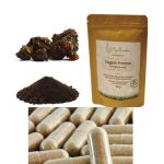 Guggulu kapsule Premium AyuGarden – prirodni dodatak za detoksikaciju i metabolizam