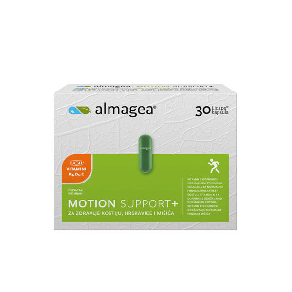 almagea-motion-support