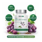 Holikan-Tiens-Ekstarkt-sjemenki-grozda-OPC-Infografika