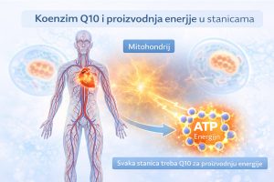 CoQ10-ATP-stanicna-energija.